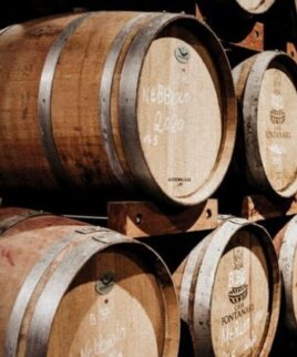 {{brizy_dc_image_alt imageSrc=